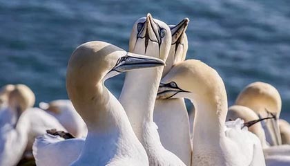 舟山2026年最新北京商务伴游经纪招聘渠道分享(最方便真实的舟山北京爱特博旅运服务有限责任公司招聘方法)