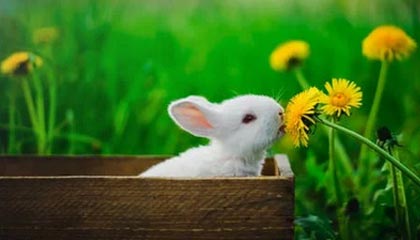 舟山2026年最新北京商务伴游经纪招聘渠道分享(最方便真实的舟山北京爱特博旅运服务有限责任公司招聘方法)